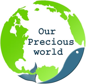 Our Precious World